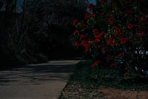 BIB: 
                            <button type="button" onclick="openModal(26139673)" class="btn btn-primary btn-sm float-right btn-popup" data-toggle="modal" data-target=".modal-high-quality">
                        <i class="fas fa-shopping-cart"></i> Add to Cart
                    </button>
                                            <button type="button" onclick="isThisMe(26139673, true)" class="btn btn-success btn-sm float-right btn-popup btn-isme hidden" data-toggle="tooltip" data-placement="bottom" title="นี่คือรูปของคุณใช่ไหม คลิกที่นี่เพื่อเอาเข้าอัลบั้ม">
                        <i class="fas fa-plus"></i> Add to album
                    </button>
                    <button type="button" onclick="isThisMe(26139673, false)" class="btn btn-warning btn-sm float-right btn-popup btn-isnotme hidden">
                        <i class="fas fa-ban"></i> Remove from album
                    </button>